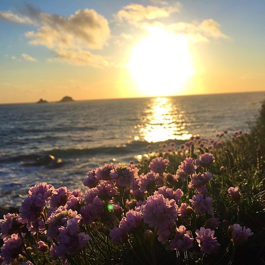 Roselands Caravan Park, Nr Lands End, Cornwall St Just Luaran gambar